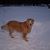 Teresa Kiser-Townsend's profile image