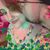 Arien Black's profile image