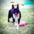 Cyndi Harris's profile image