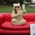 Dana Marguerite's profile image