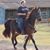 Shannon Beaudry's profile image