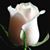 Sheila Dorff Magrath's profile image