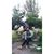 Andrea Drigo's profile image