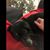 Kelly Sinz's profile image