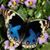 Anita Darst's profile image