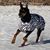 Jayne Isbell's profile image