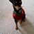 Tanzie Jackson's profile image