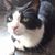 Joy Hankin's profile image