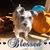 Sue Blankenship Stanley's profile image