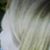 Marilyn Boehm's profile image