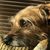 Berdina L Frye's profile image