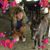 Shelly Flora's profile image