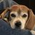 Beryl Bailey's profile image