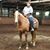 Linda Braun Ouhl's profile image
