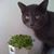 Ray Hiatt's profile image
