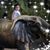 Ana Flores's profile image