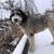 Anja Bitzer's profile image