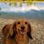 Lilly Skirvin's profile image