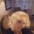 Daureen Marcotte's profile image