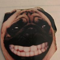 Ruben Archilla's profile image