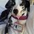 Nina Fath Geschwind's profile image