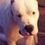 Argo N Anash's profile image