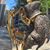 Sierra Accord's profile image