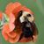 Bethany Luchenbill Brown's profile image