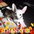 Lexis Hare's profile image
