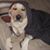 Kathy Leary Rees's profile image
