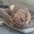 Cheryl Liniewski Bibbee's profile image