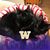 Jacquie Hignard Sonnenfeld's profile image