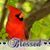 Angela M Walker's profile image