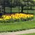 Nancy Baucke's profile image