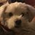 Jeannine M. Harris Thiele's profile image