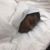 Darien M Smith's profile image