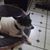 Diane Miller's profile image