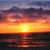 Vicki Patellis Toppses's profile image
