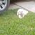 Peggy Ann Lieberman's profile image