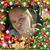 Regina Smith's profile image