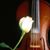 Drea Beeks's profile image