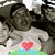 James Grippa's profile image