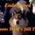 Tom H Kealy's profile image