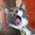 Martin DeVold's profile image
