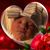 Melissa Martin's profile image