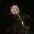Betsy Briggs Bruffey's profile image