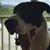 Jon Stellwagen's profile image