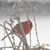Mona L Cavalliero Preis's profile image