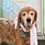 Karie Lawrence's profile image