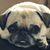 John W Atkinson's profile image